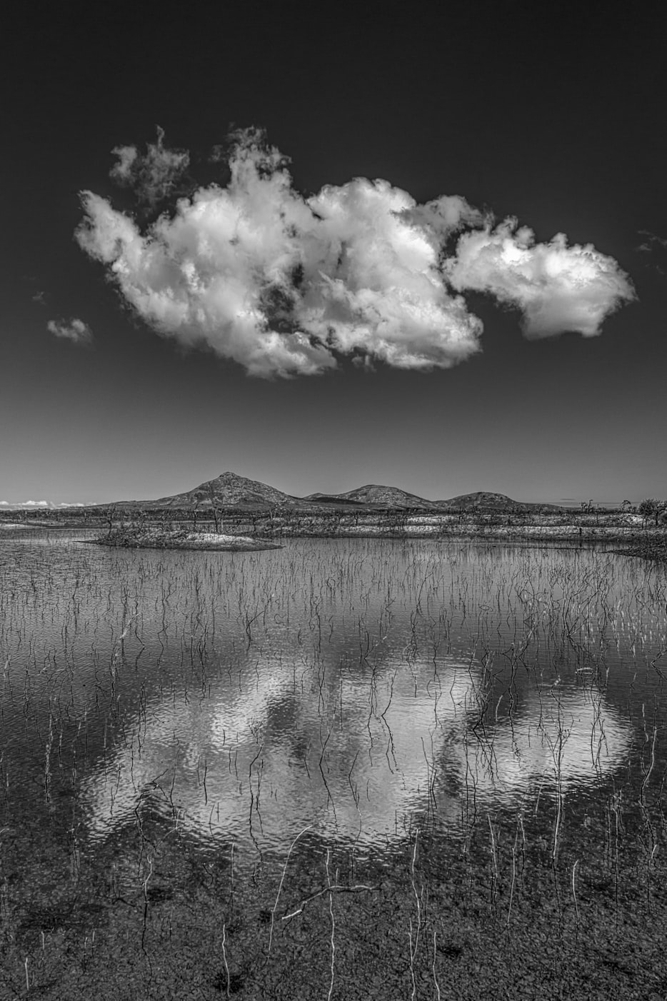 夜色新篇,探索深邃未知的世界