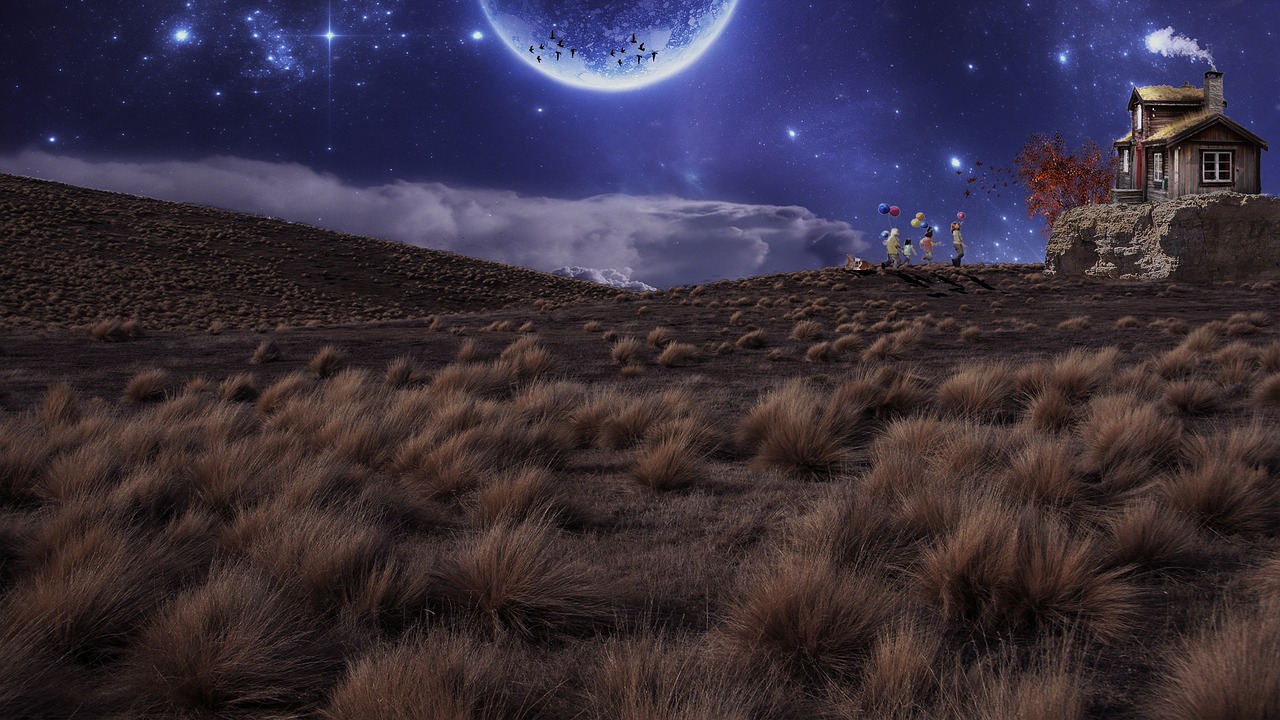 月下狐影新书,神秘奇幻之旅的探寻