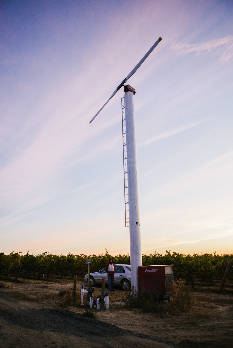 苹果最新报价及市场动态与技术趋势的综合解析