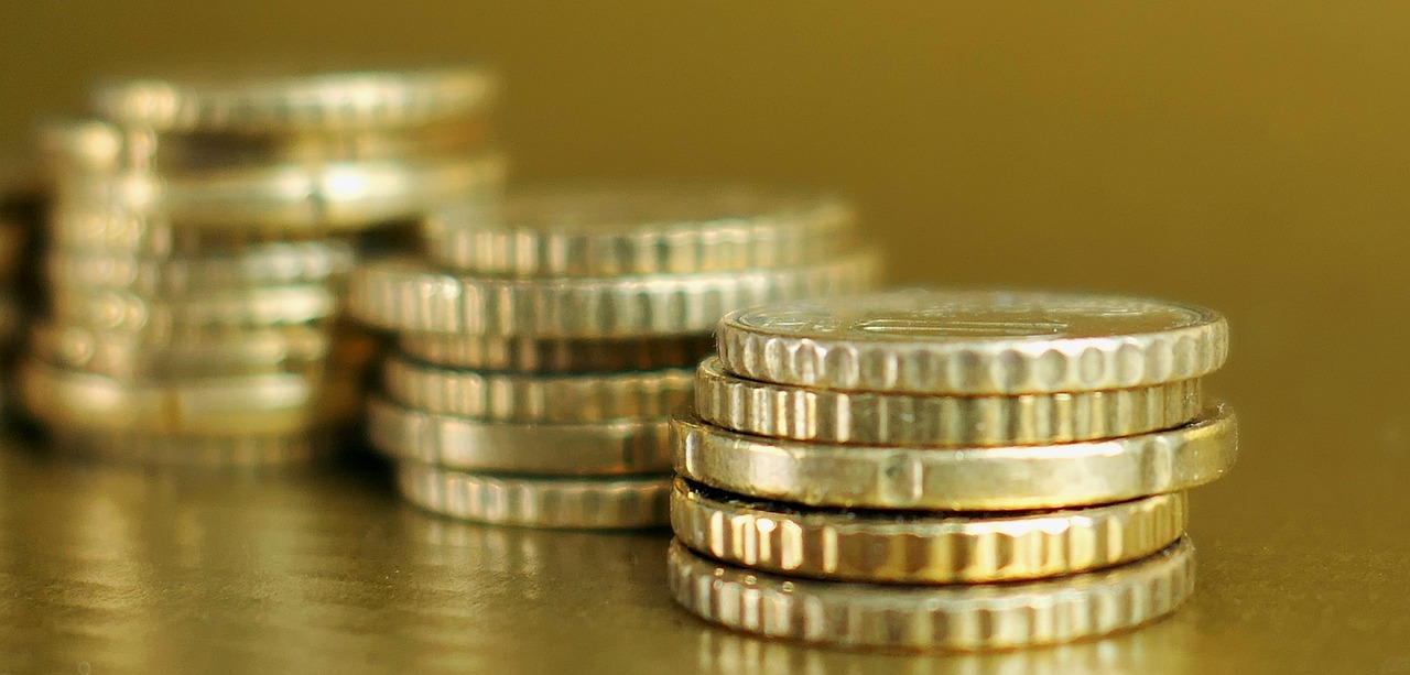 五灵脂价格走势分析,市场影响、当前价格及未来展望