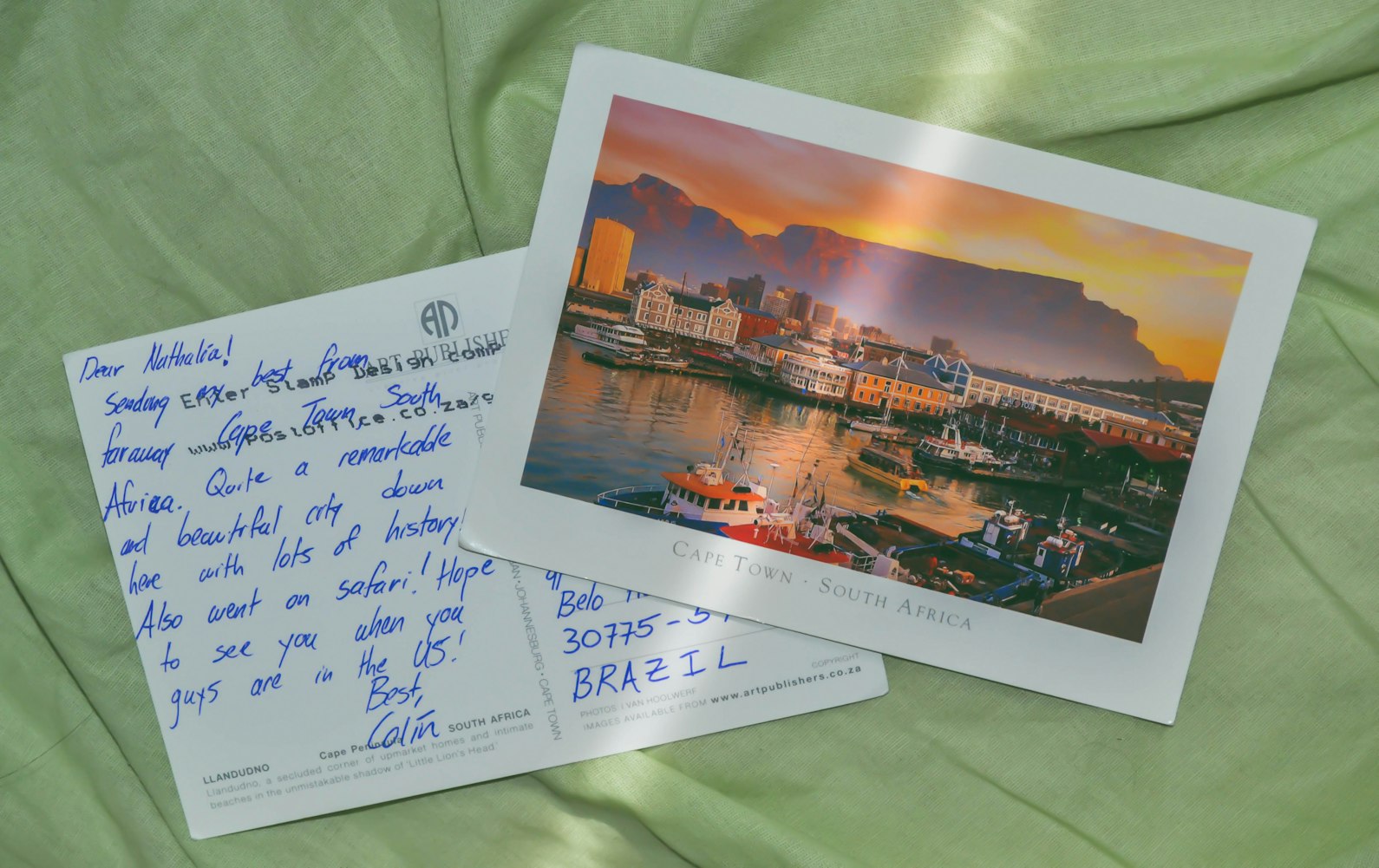 探索文学世界的魅力之旅,精彩章节阅读之旅