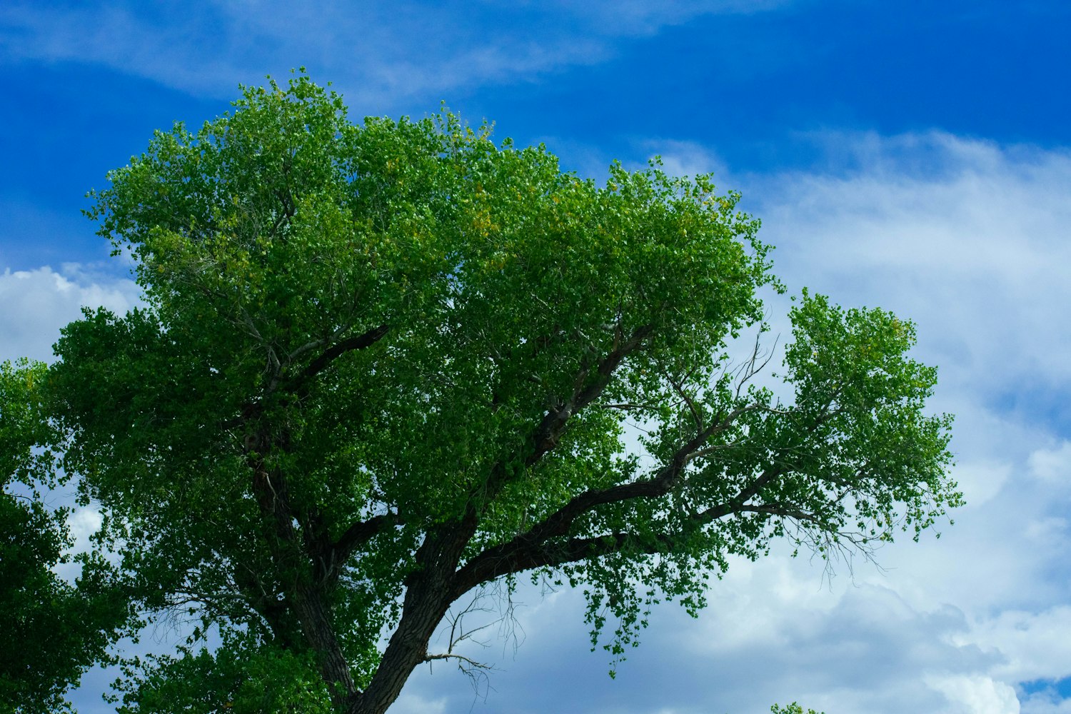 杨树,演员之路的魅力探寻与无尽挑战