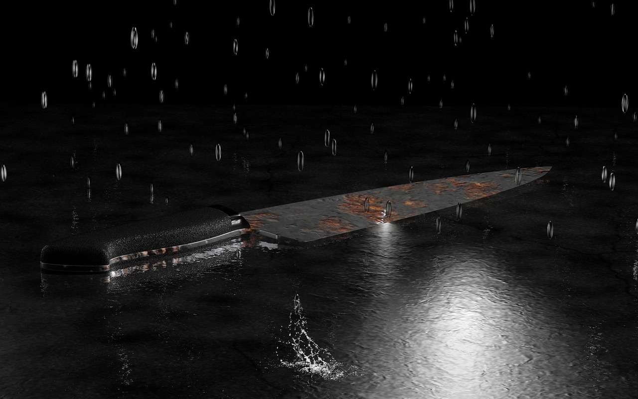 最新营山动态,蓬勃发展中的营山县新貌展望