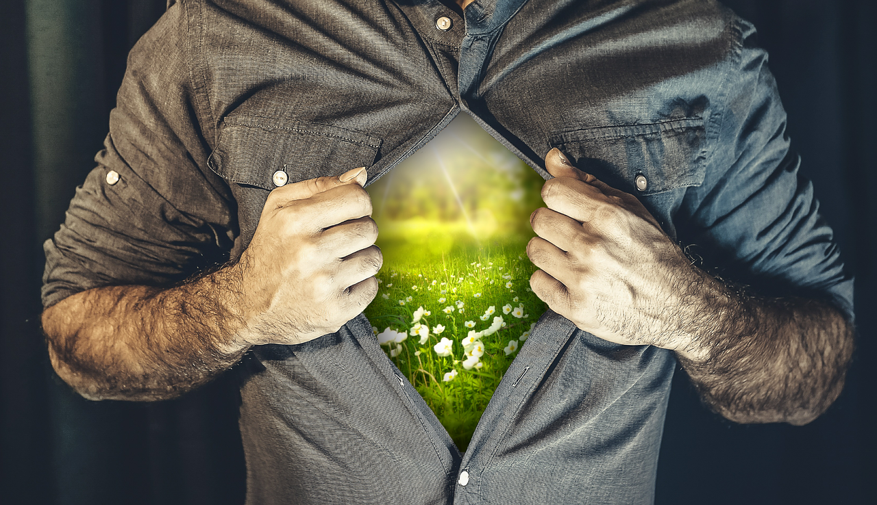 股票放量上涨背后的意义与影响解析