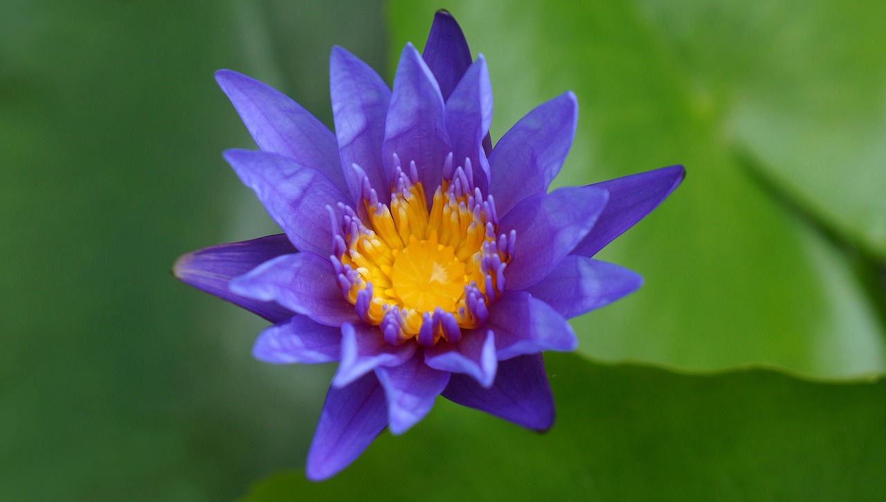 2016年军人薪资动态更新，提升待遇，激励忠诚与奉献