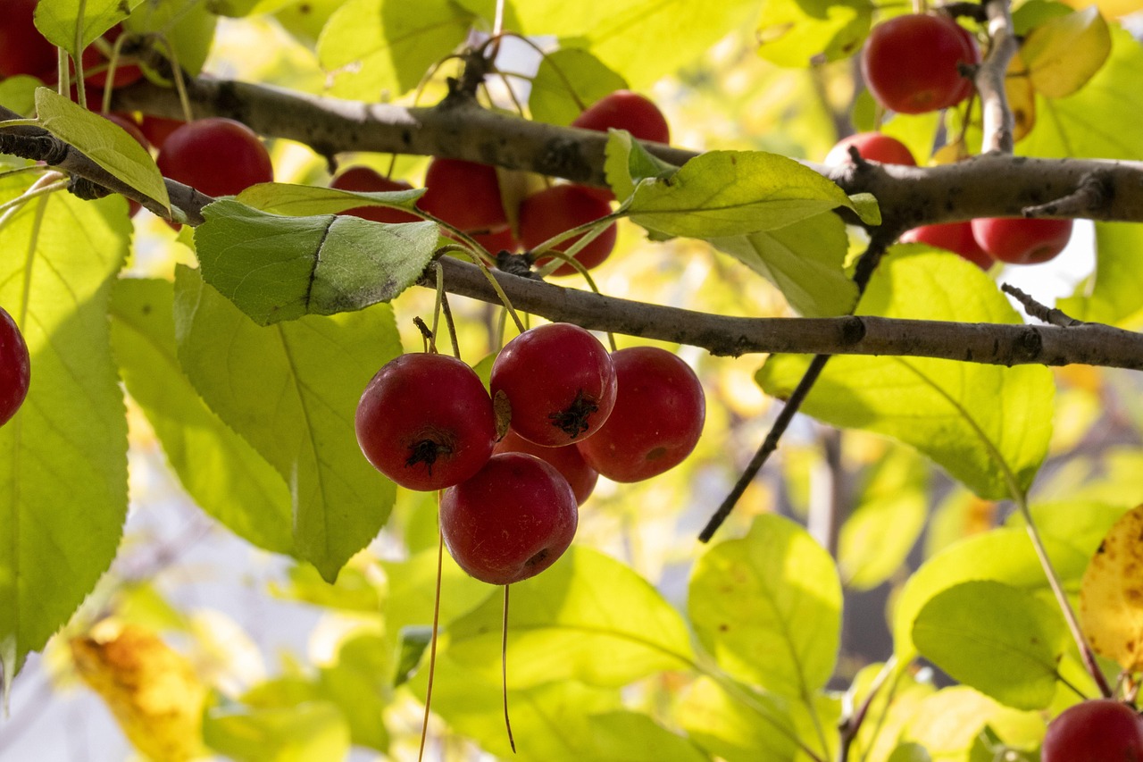 宝马X5新一代车型最新动态揭秘