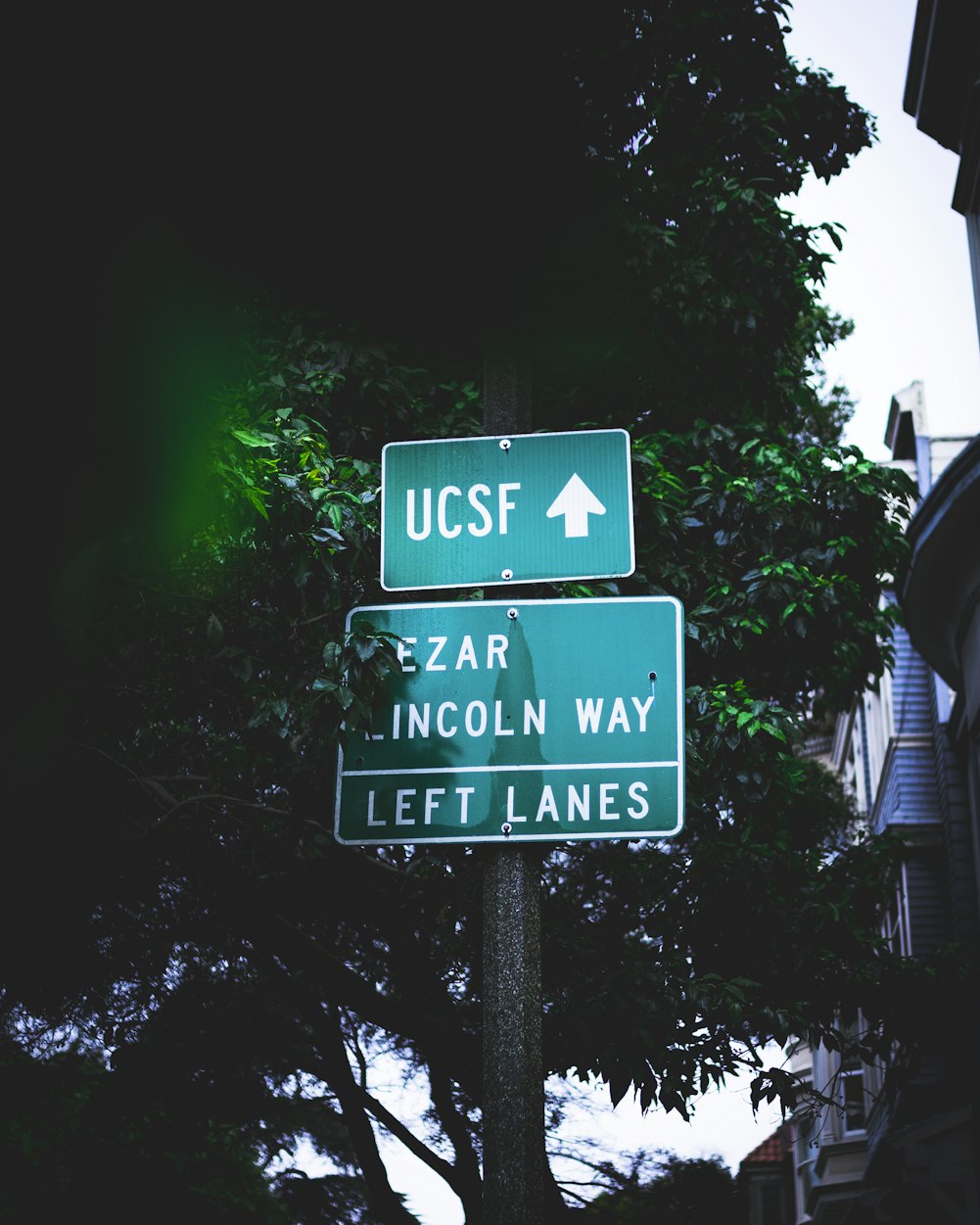 二手房车价格大全，掌握最新市场动态，洞悉市场趋势