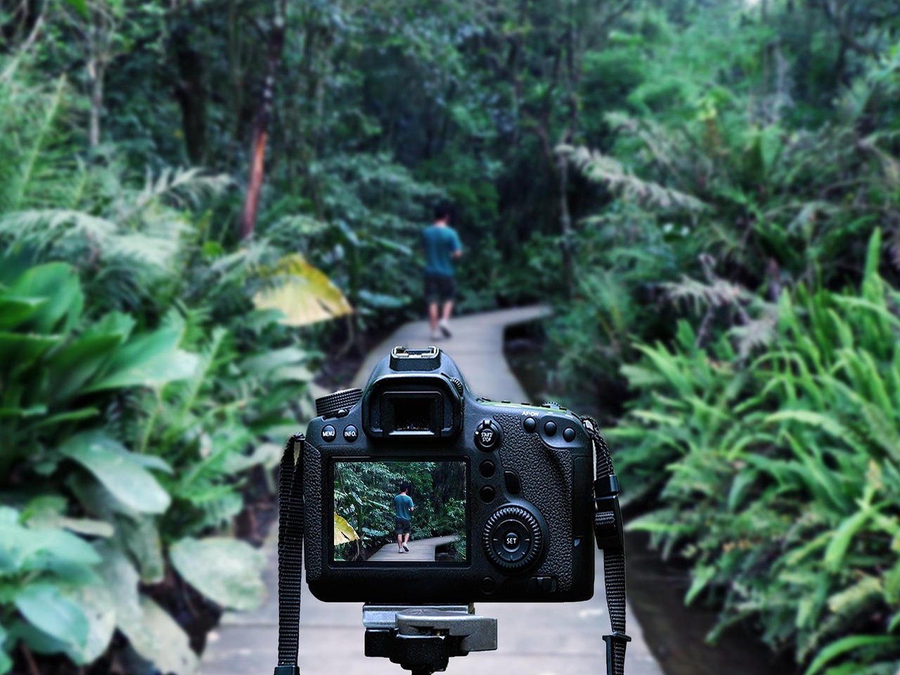 绯樱漫天 第3页
