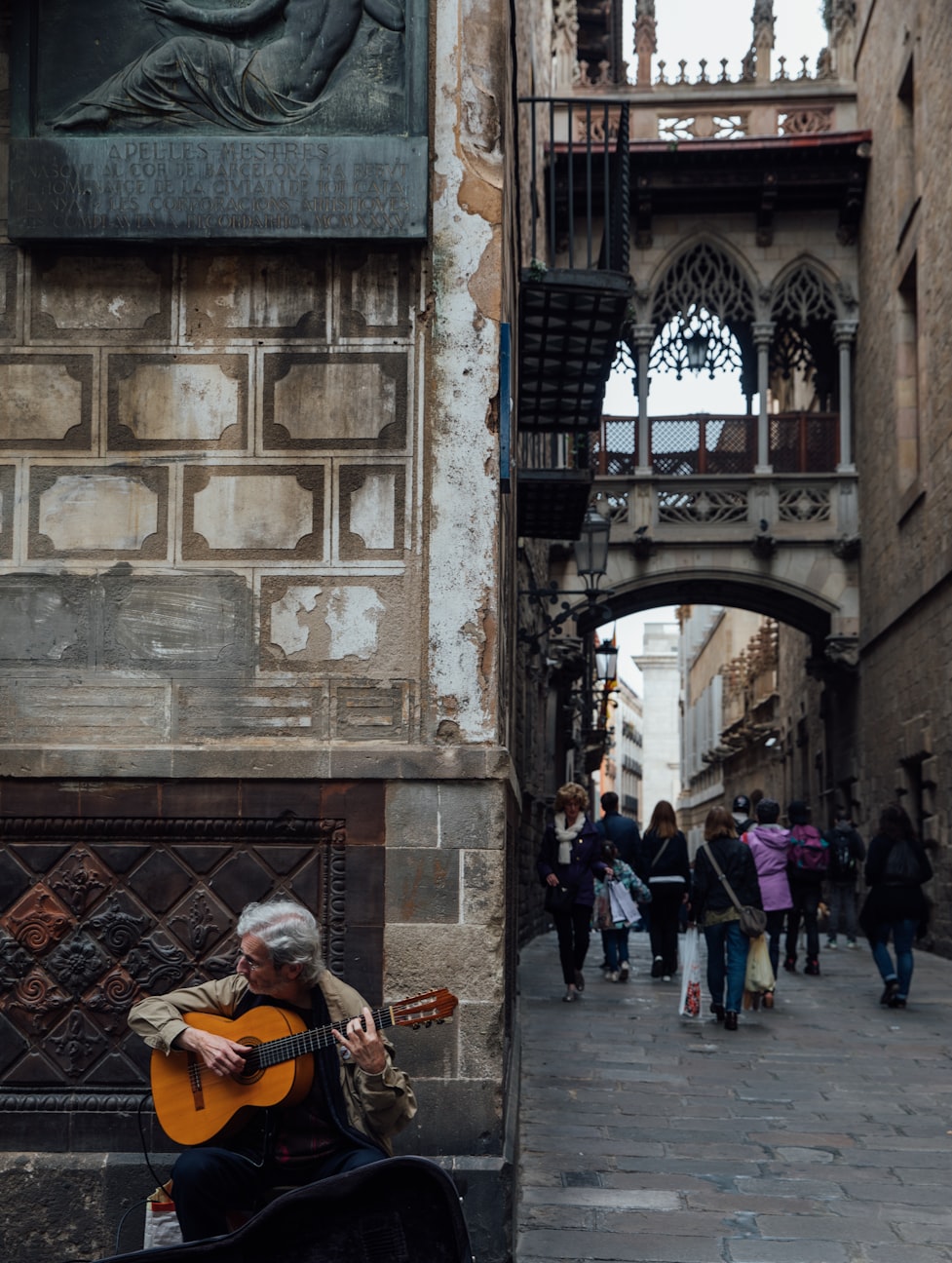 顺蓬营一级公路最新进展更新