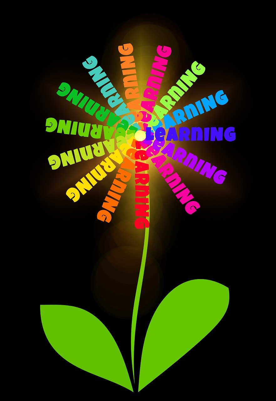 中安煤化工引领行业变革,推动可持续发展新动态