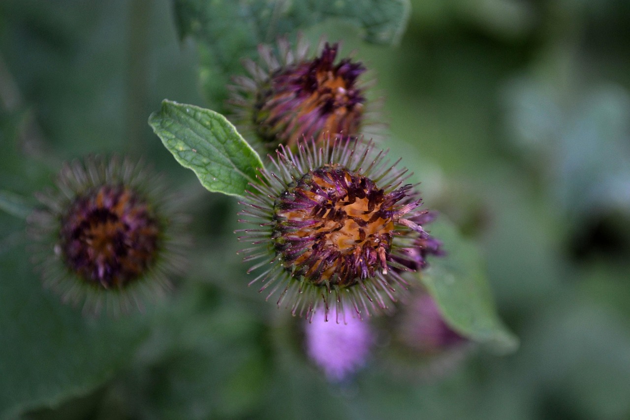 淮南市谢家集区最新职位招聘动态与展望