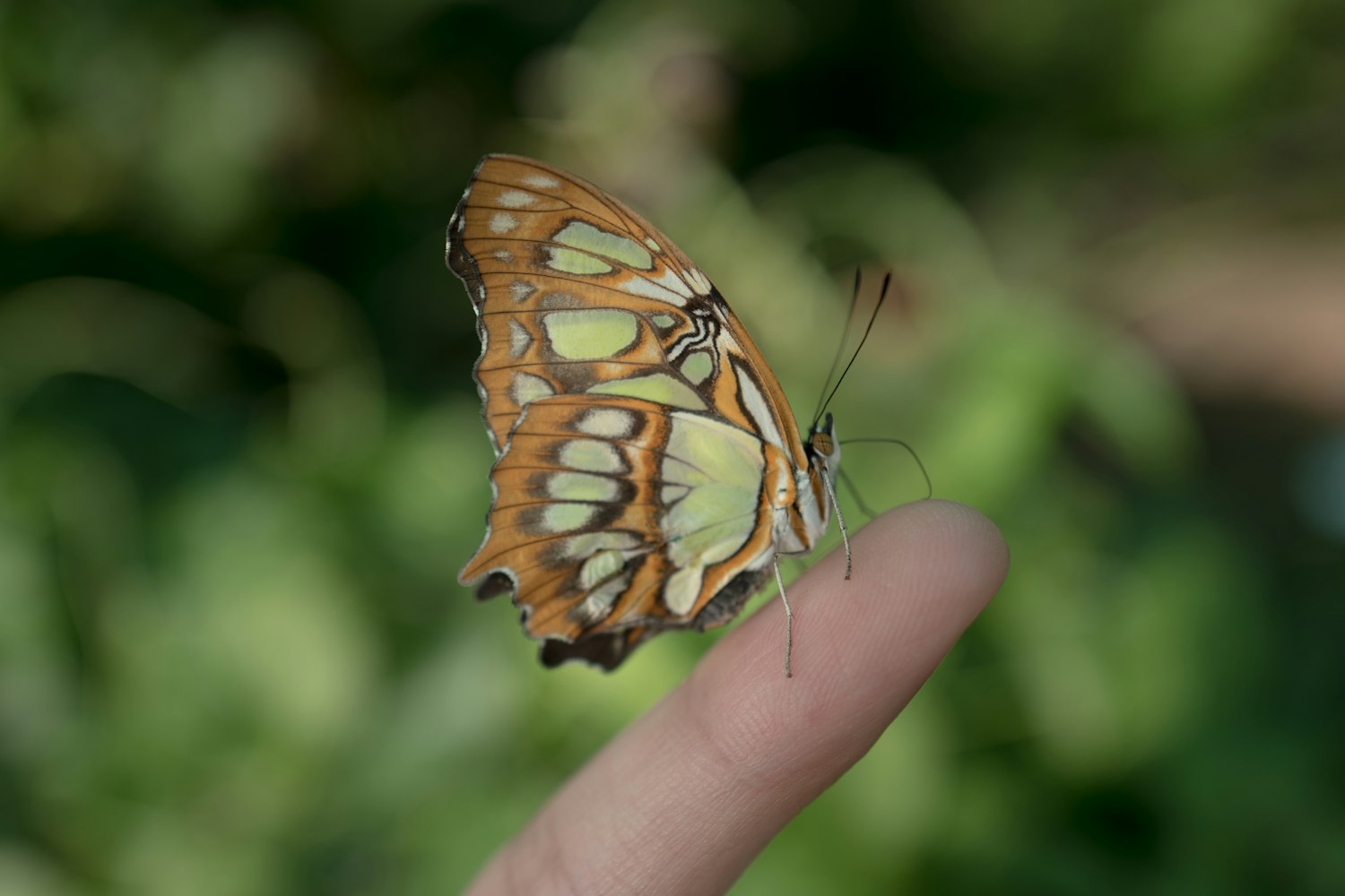 满庄机场迈向现代化航空枢纽的步伐加快,最新动态揭秘