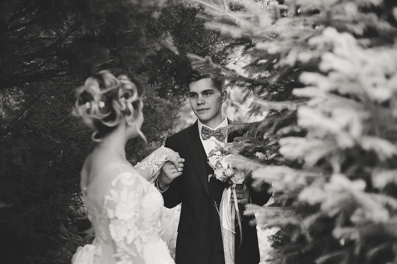 萌萌新娘,电视剧中的浪漫爱情之旅之旅