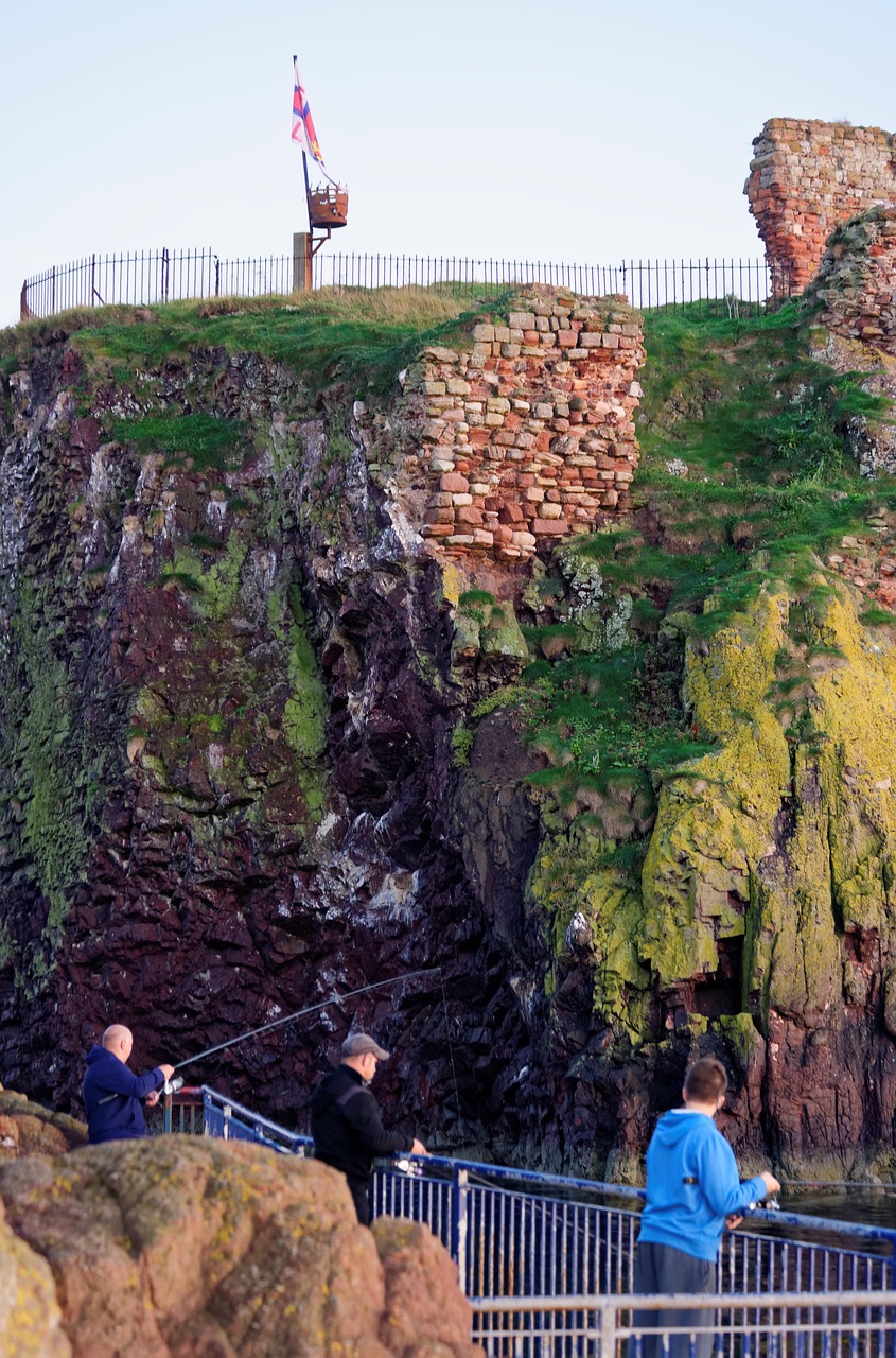 最新钓鱼视频,探索垂钓乐趣与技巧