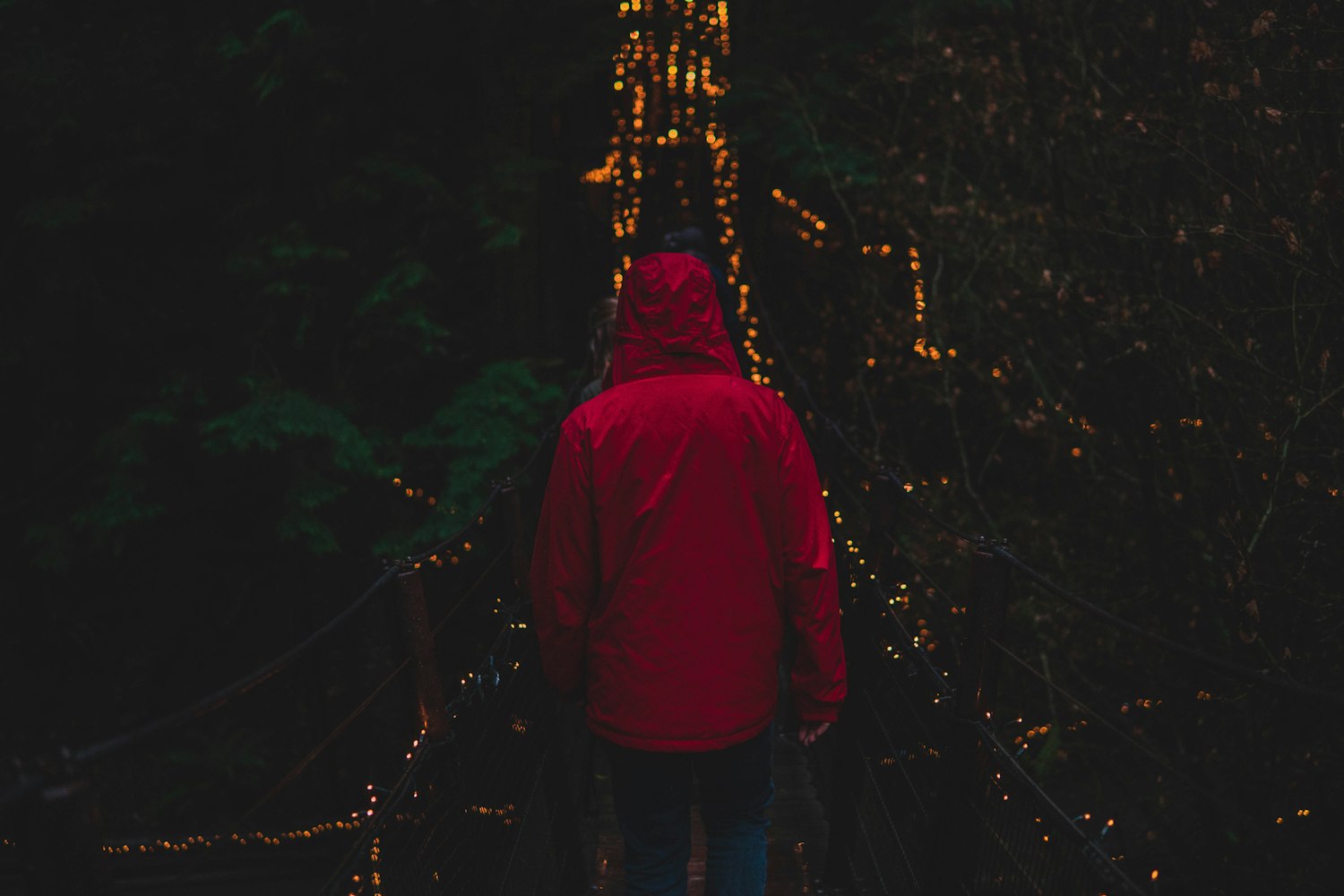 悉尼妹展现新活力,青春风采四溢的魅力风采