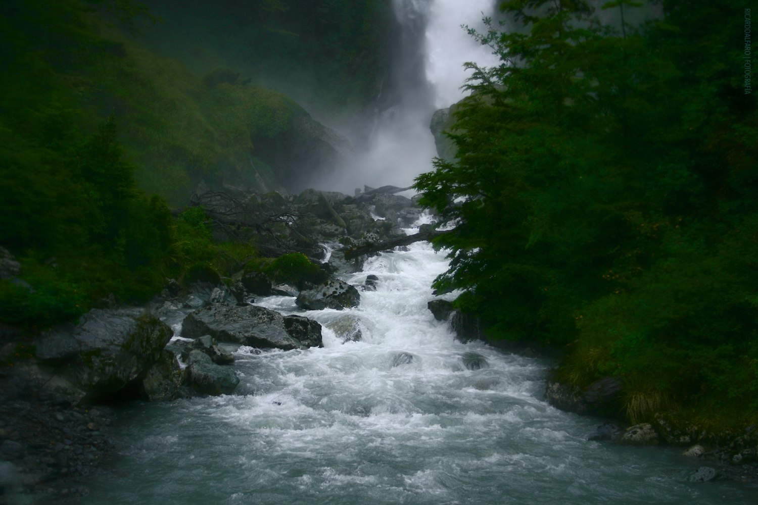 湖贝旧改动态更新,城市更新的进展、挑战与未来展望