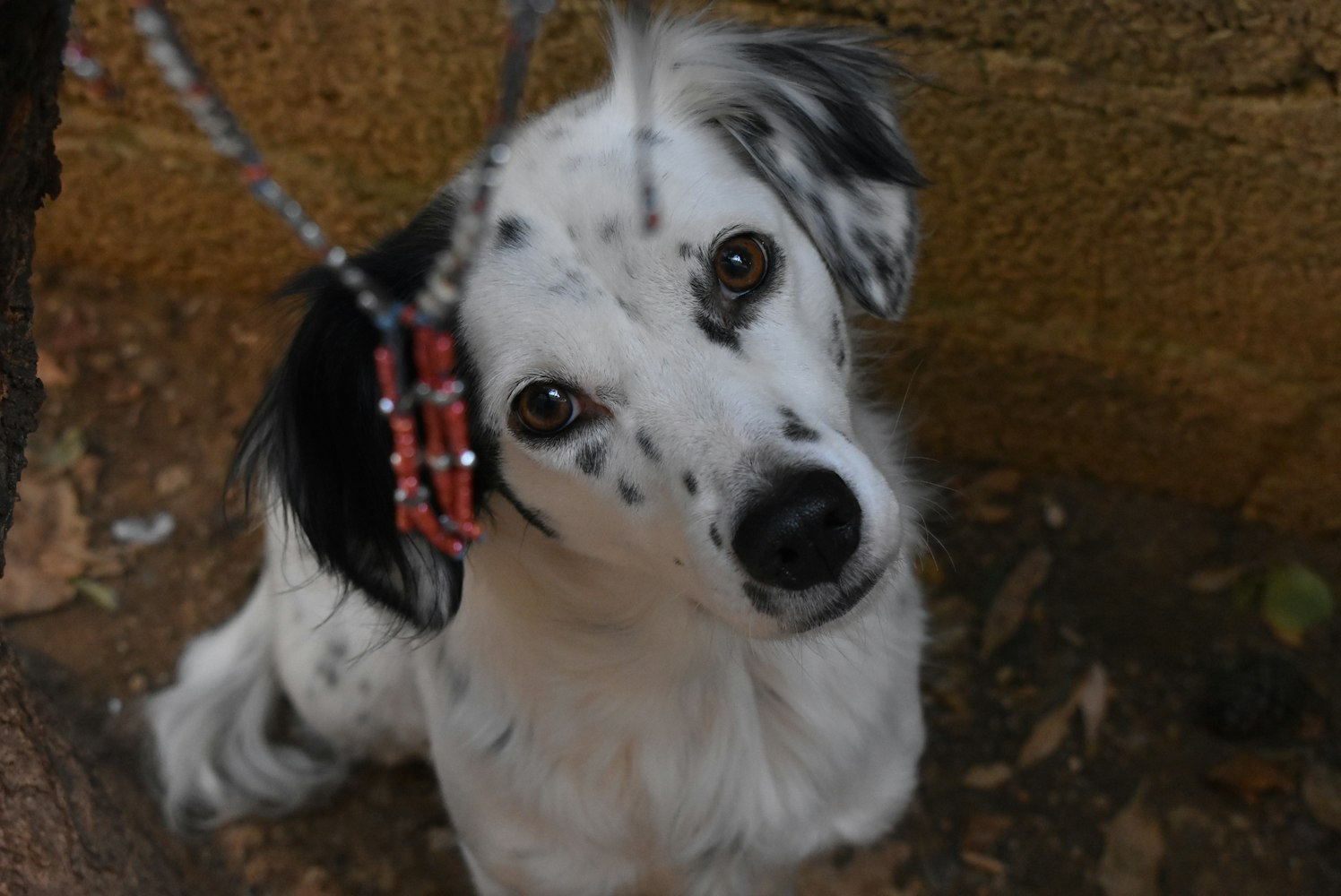 宋承宪最新动态揭秘,揭开明星生活的神秘面纱。