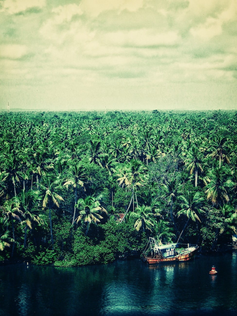 怀化环保资讯,绿色发展的步伐与前景展望