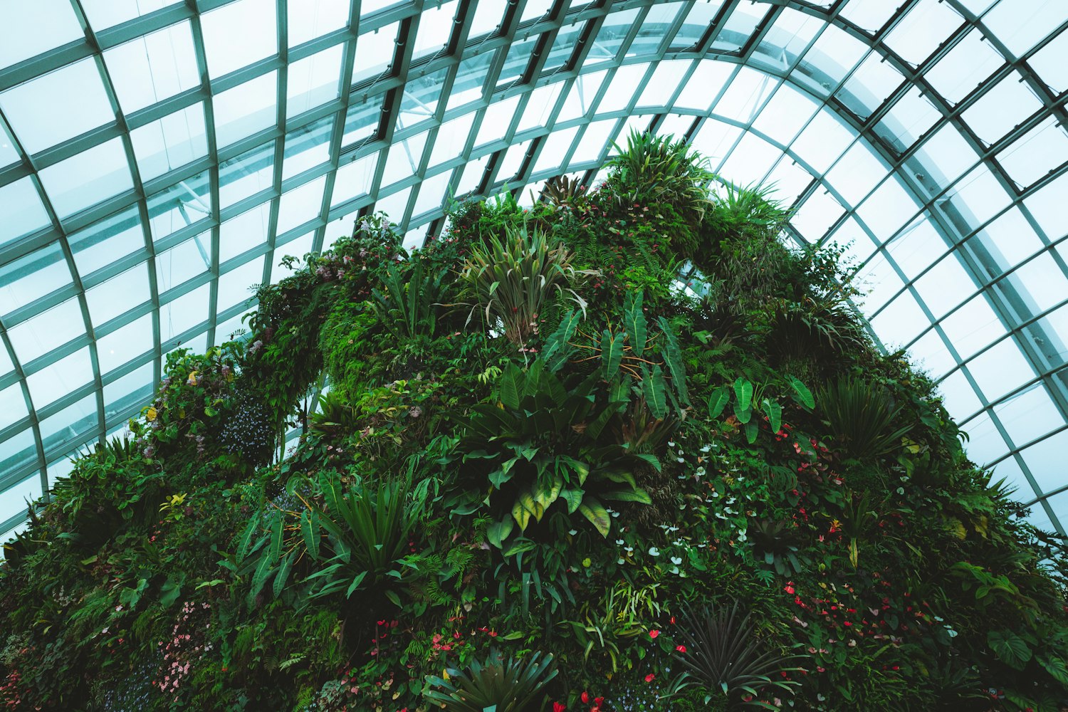 怀化环保资讯,绿色发展的步伐与前景展望