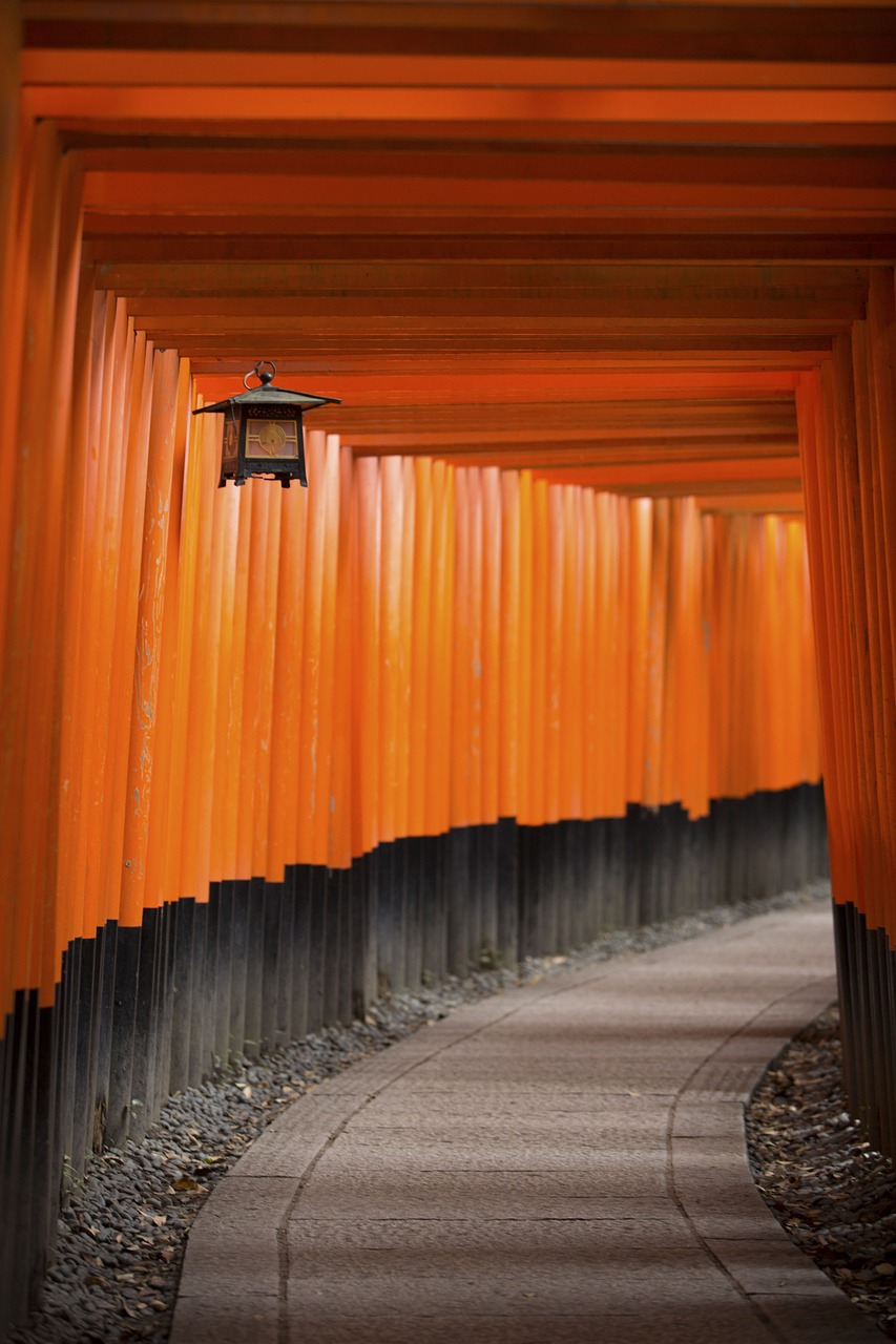 大连中瑞燕朝合作蓬勃发展,共赢局面展现最新动态