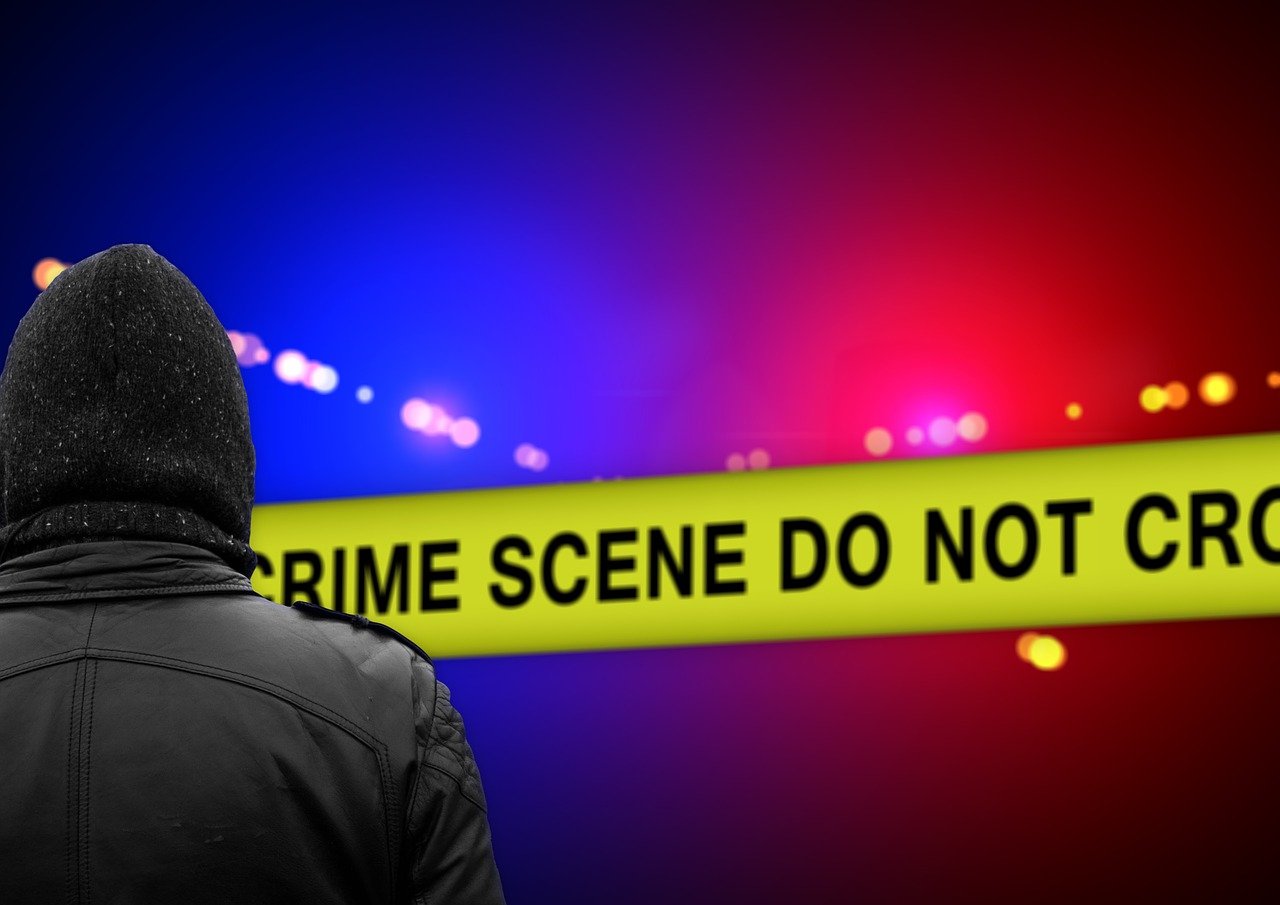 杨志刚最新电视剧,深度解析与观众共鸣的力作