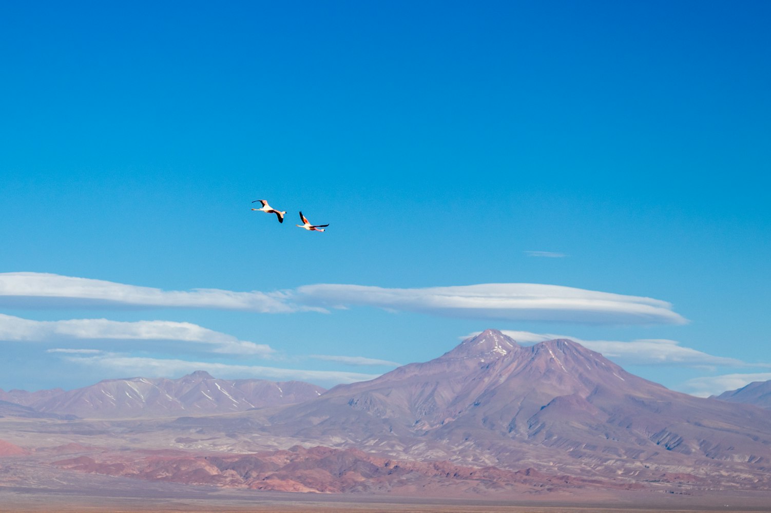 妻子的秘密情人最新动态揭秘,复杂情感背后的真相与影响探究