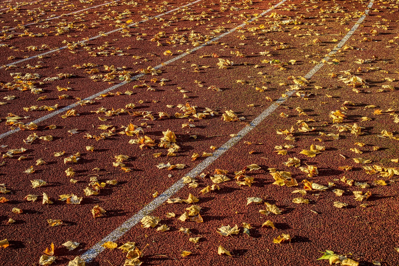 葛店亚马逊最新职位招聘动态与职业发展机遇探讨,探寻职业新机遇,开启未来篇章!