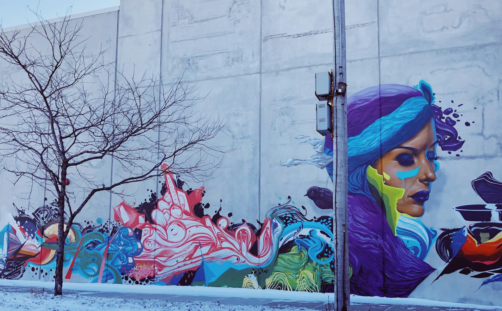 动漫艺术的传承与创新魅力,承动漫的魅力探索