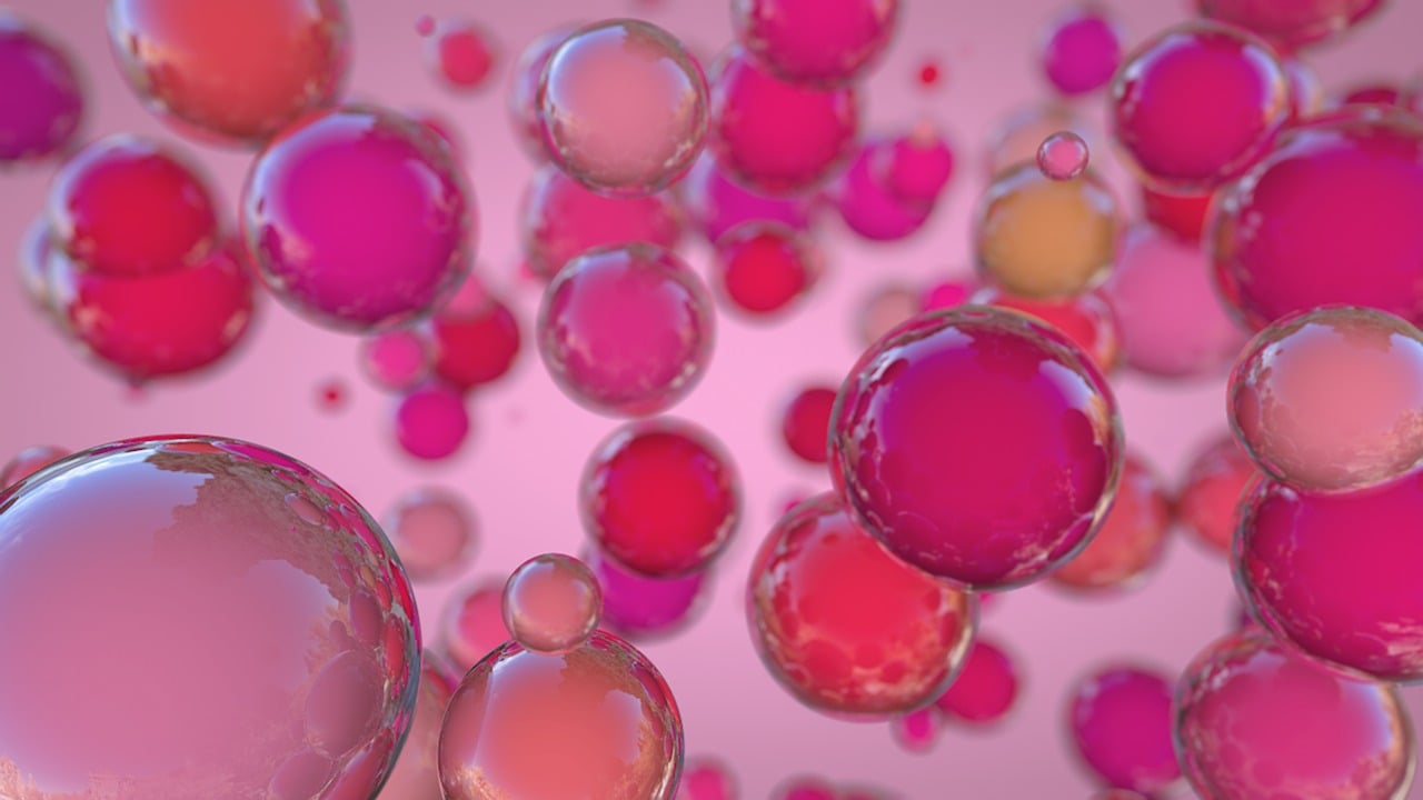 佛山宋德平,陶瓷艺术领域的卓越成就与发展轨迹探寻