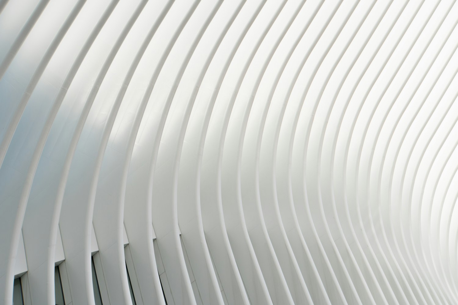 佛山宋德平,陶瓷艺术领域的卓越成就与发展轨迹探寻