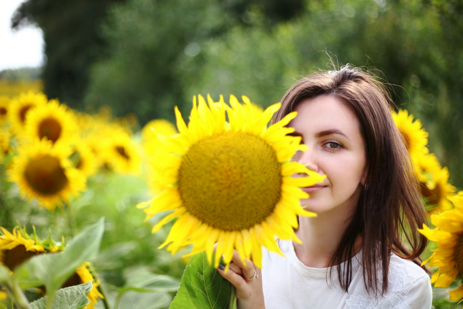 最新梨树苗品种探索,农业发展的新希望