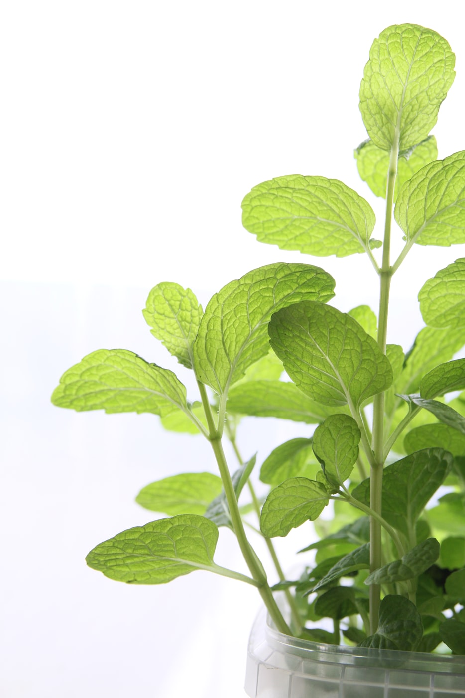 前鲜村蜕变揭秘,最新动态下的乡村新面貌