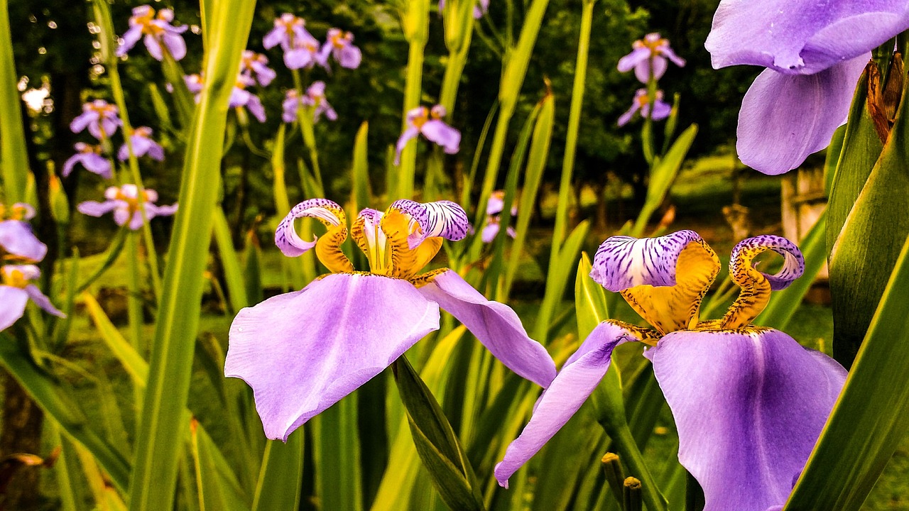 赵丽颖恋情新动态揭晓,星光下的浪漫爱情故事