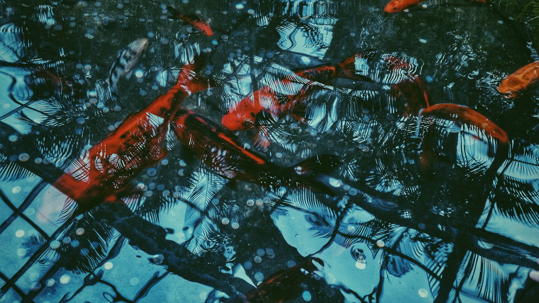 现代水彩艺术的无限探索与佳作展示