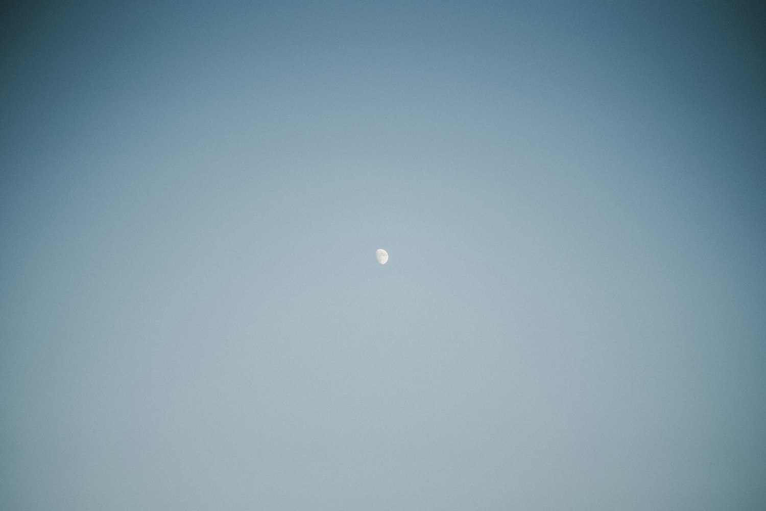 李菲儿最新动态,娱乐圈中的新星闪耀新篇章