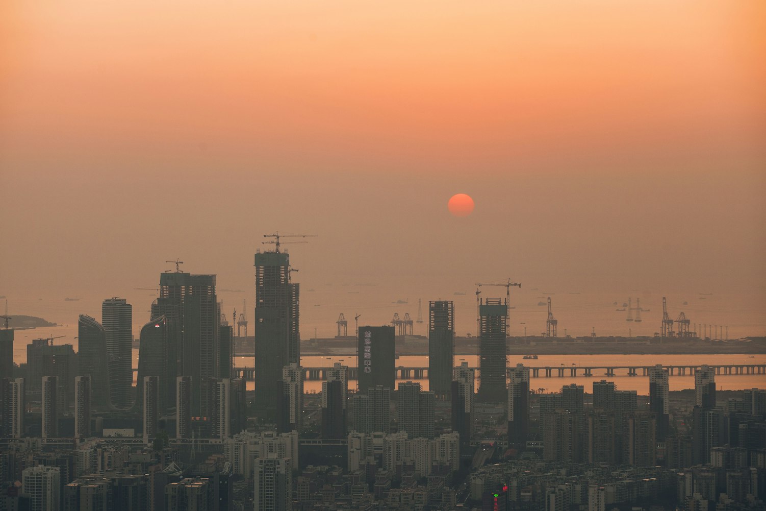 肇庆最新资讯,探索城市新面貌