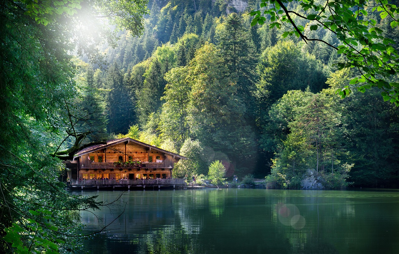 全球时事动态深度解析,时事快报最新一期速递