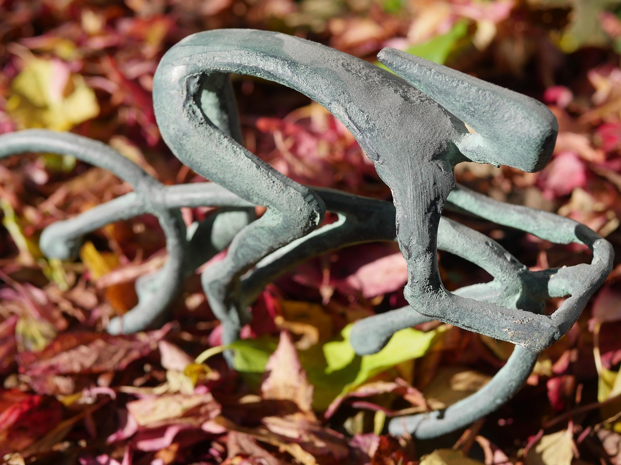 全国7日最新动态概览