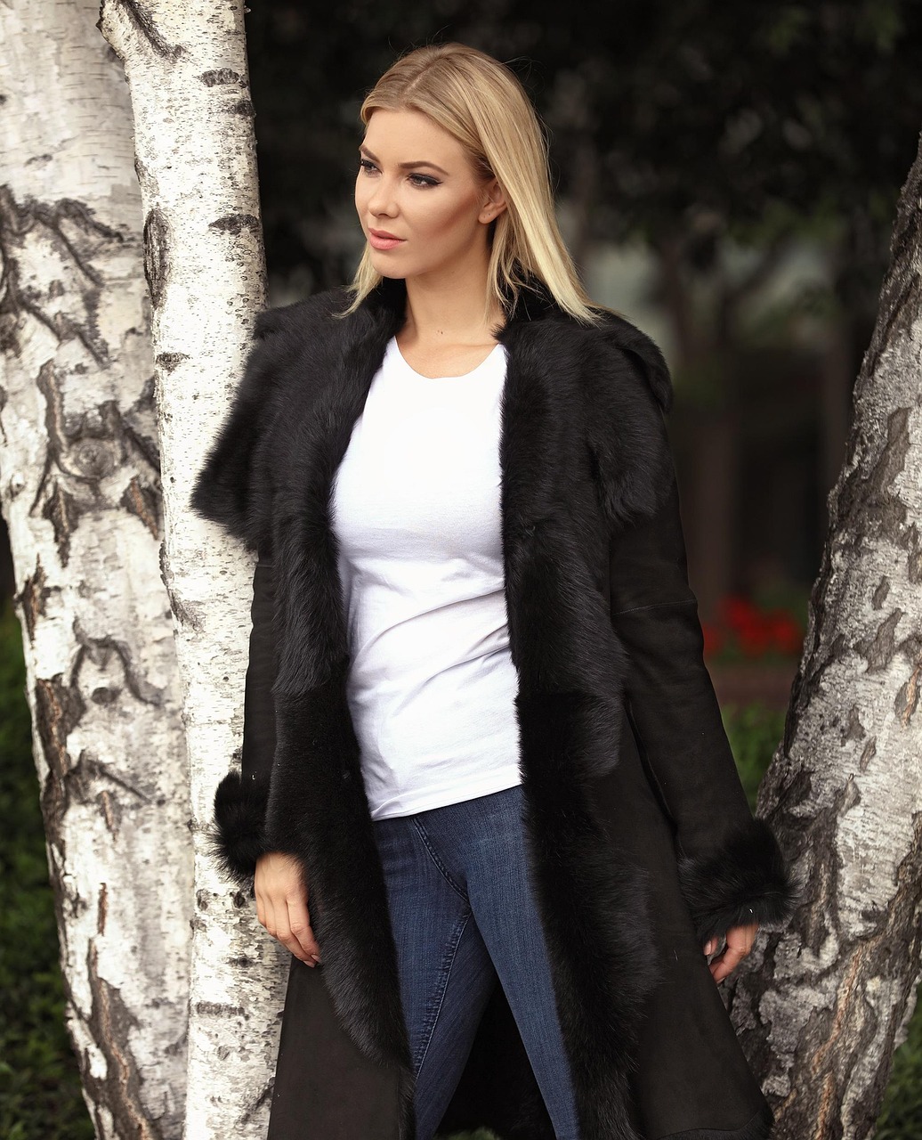 最新小四月美照,时光中的璀璨瞬间