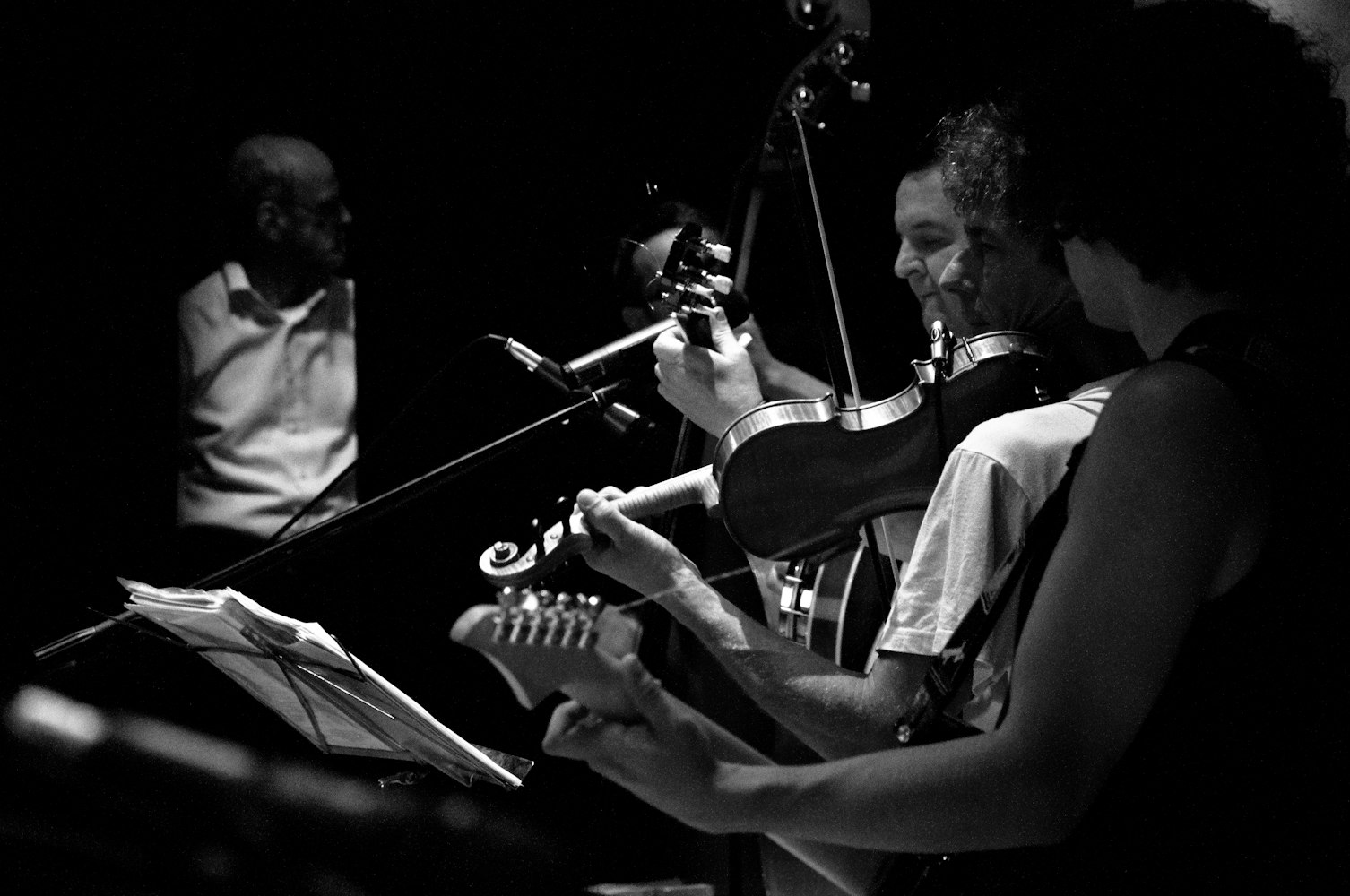 朴树最新资讯，音乐与生活的交响之旅