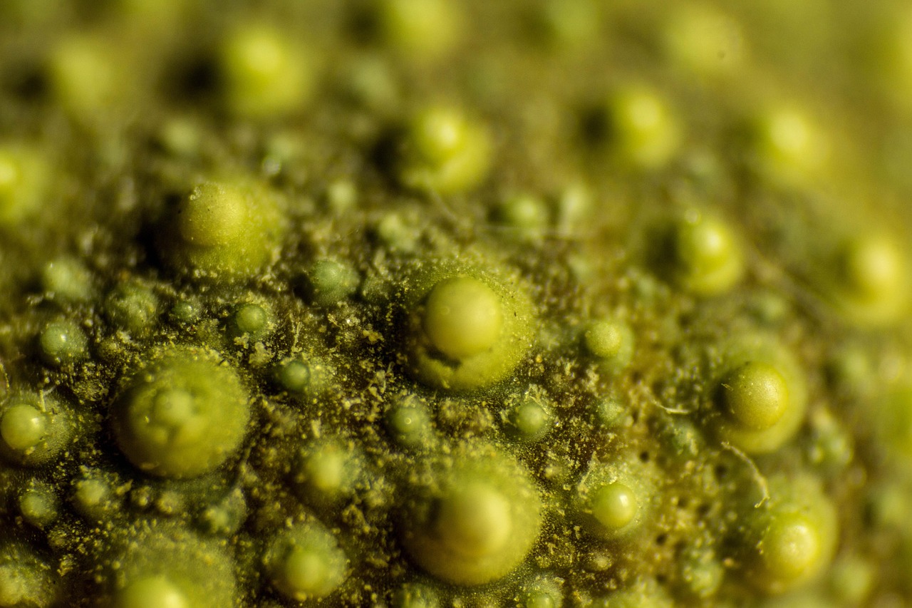 斯诺克世锦赛激战正酣,最新赛事动态与选手表现