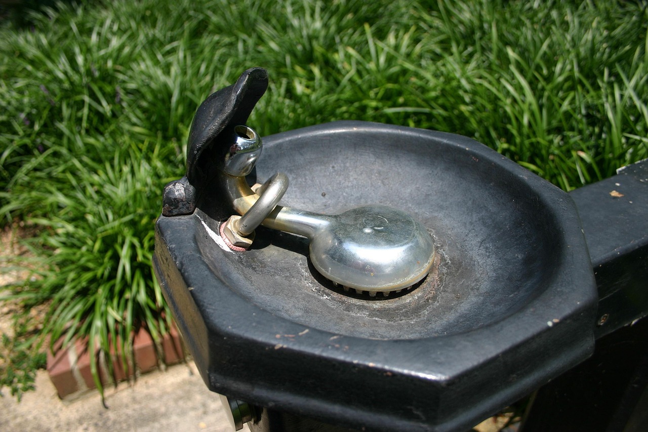 信宜最新资讯,城市新动态与发展趋势探索