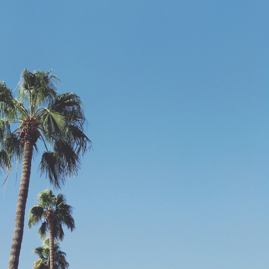 庄浪县经济蓬勃发展,县域社会进步展现最新动态