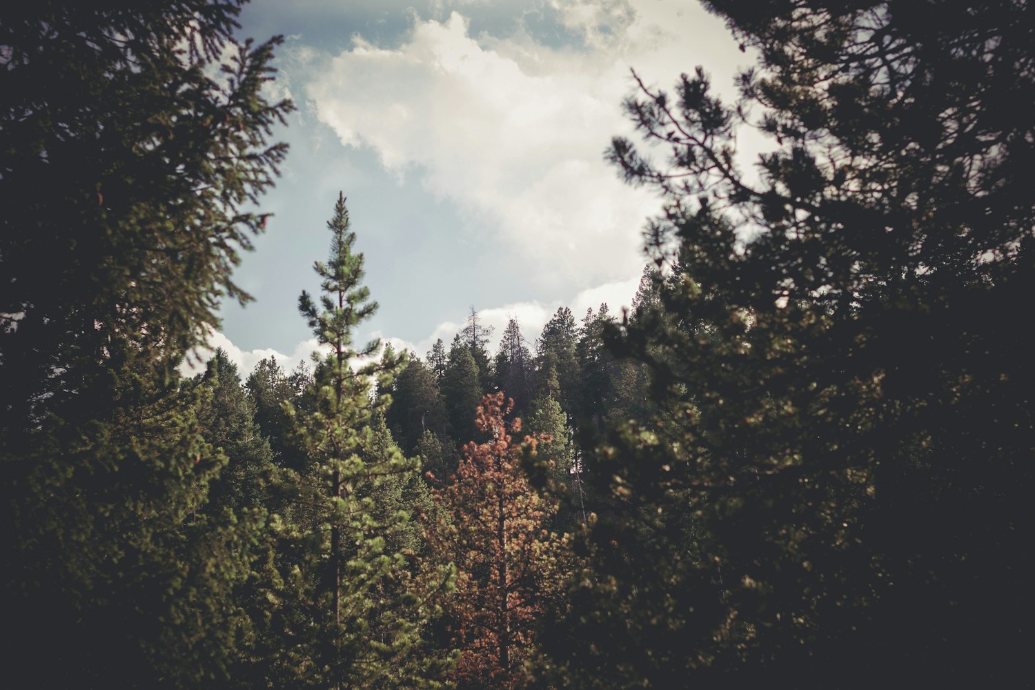 王小光新作,探索艺术新境界的惊世之作