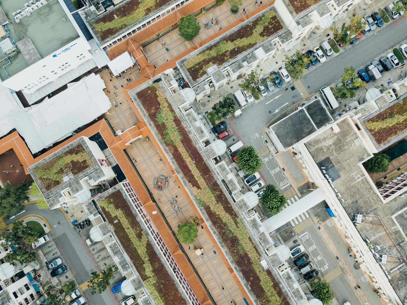 2025年12月2日 第4页