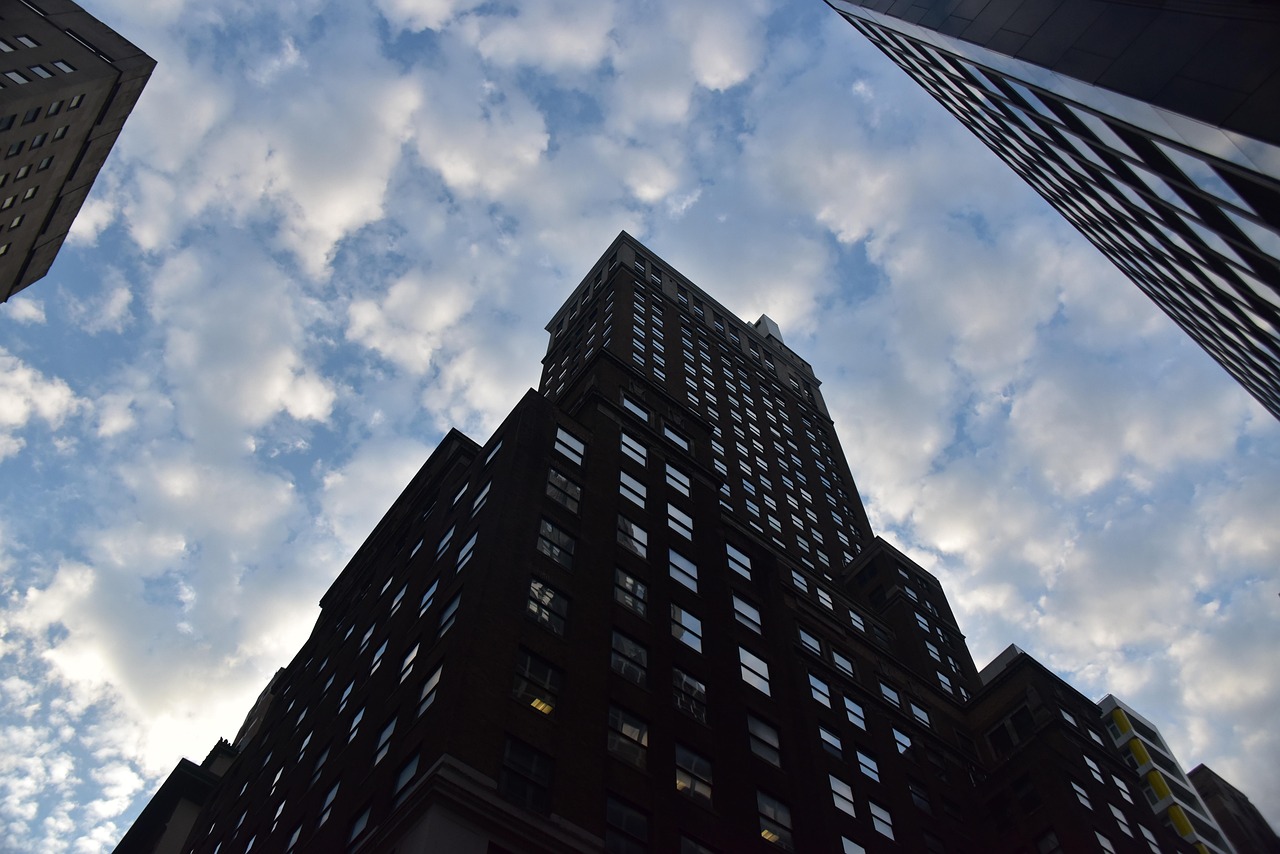 美司钠价格走势分析，市场趋势、影响因素与未来展望