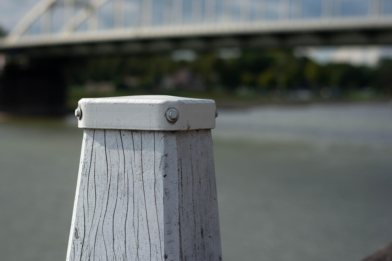 新城河动态,城市生态水环境的新篇章