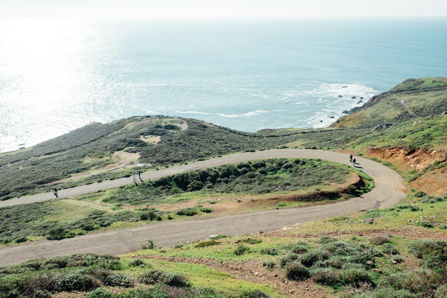 景宁县最新人事任免动态公布