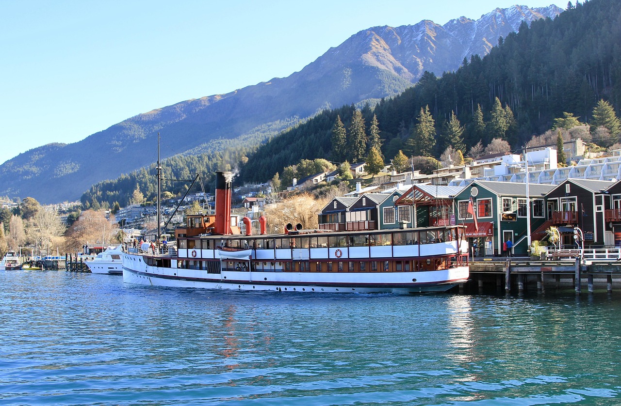 中国反乐天动态，深度解析与反思