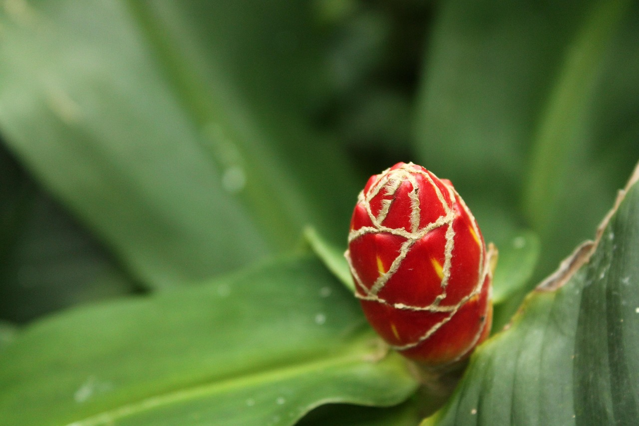 张嘉译最新动态,演技愈加精湛,塑造角色深入人心,深受观众喜爱